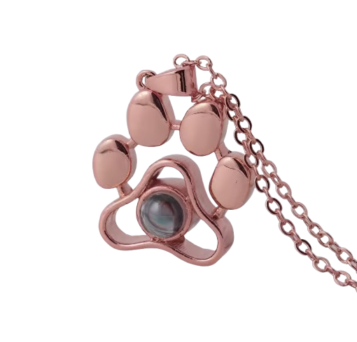 Collar de Mascota con Proyección Personalizado