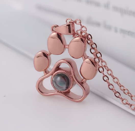 Collar de Mascota con Proyección Personalizado