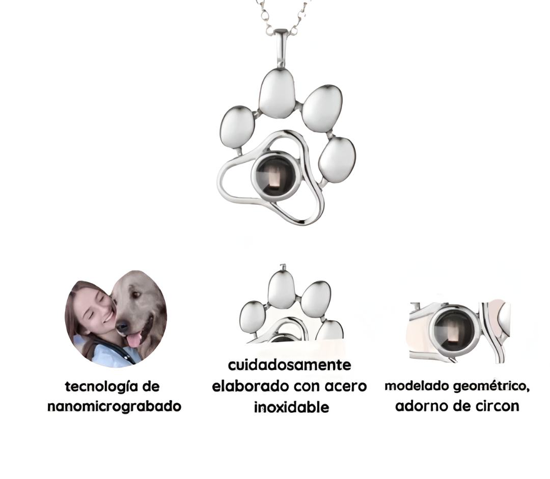 Collar de Mascota con Proyección Personalizado
