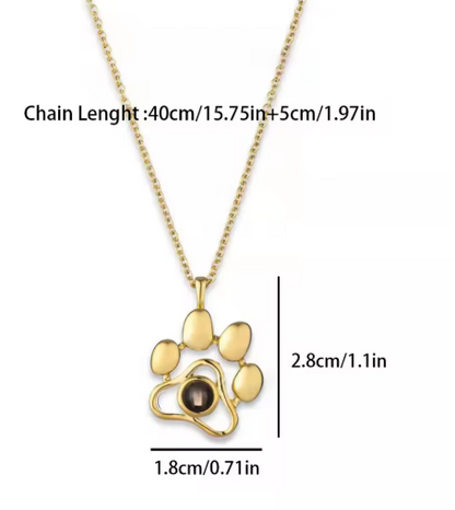 Collar de Mascota con Proyección Personalizado