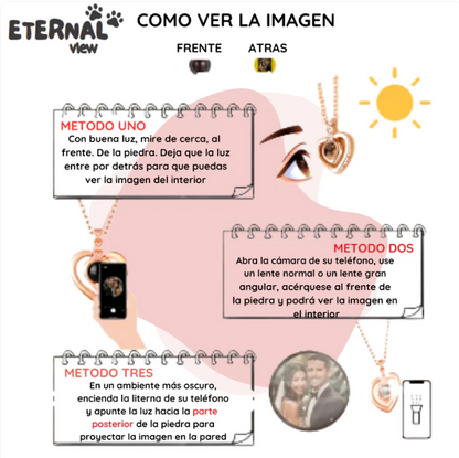 Collar de Mascota con Proyección Personalizado