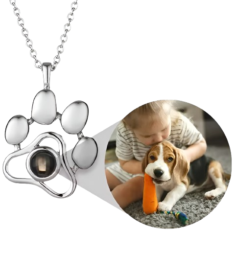 Collar de Mascota con Proyección Personalizado