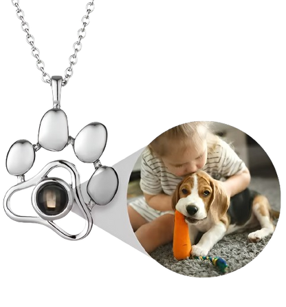 Collar de Mascota con Proyección Personalizado